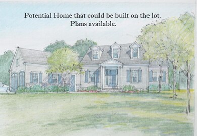 124 William St, Vineyard Haven, MA 02568 - photo 5