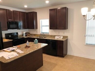 10513 Massimo Dr, Wimauma, FL 33598 - photo 2