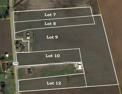 Aerial View of Witt Road Lots
