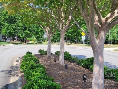 241 Ashmore Cir unit 53, Troutman, NC 28166 - photo 2