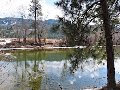 Tbd Highway 21 N, Danville, WA 99121 - photo 2