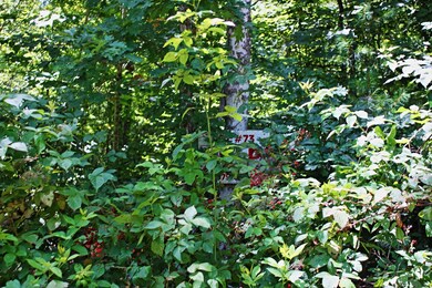 Lot73.4