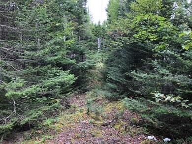 Lot 12 B Duck Cove Rd, Roque Bluffs, ME 04654 - photo 4