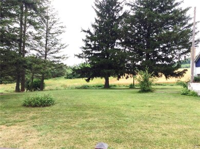 1015 Spring Rd, Andreas, PA 18211 - photo 5