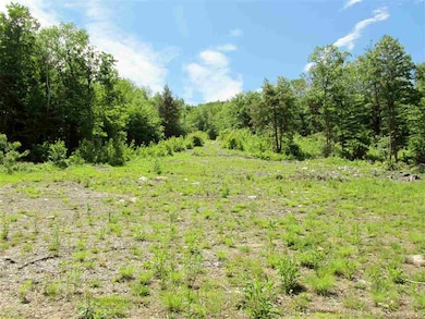 0 Stewart Foss Mountain Rd unit 13,21.22 4761929, Eaton, NH 03832 - photo 6