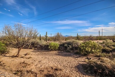 NO NEIGHBORS BEHIND YOU