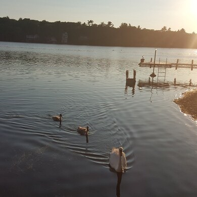 31 Lakeview Ave, Mansfield, MA 02048 - photo 6