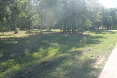 Blk 4, Lt 3 Brady St, Magnolia, TX 77355 - photo 4