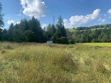 145 Hartlen Ave, Colebrook, NH 03576 - photo 3