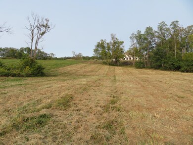 590 Craig Crossing, Winchester, KY 40391 - photo 6