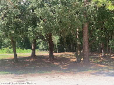 2326 W Barben Rd, Avon Park, FL 33825 - photo 3