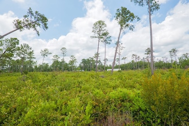 31 Conine Cir, Lakeland, GA 31635 - photo 5