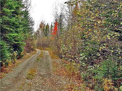 off-owlsboro-road-2