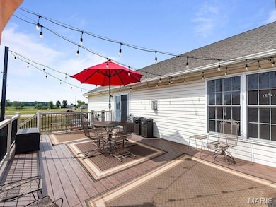 304 Torrington Ln, Freeburg, IL 62243 - photo 7