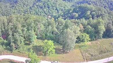 0 Peninsulas Edge Dr unit RTC3042168, Smithville, TN 37166 - photo 7