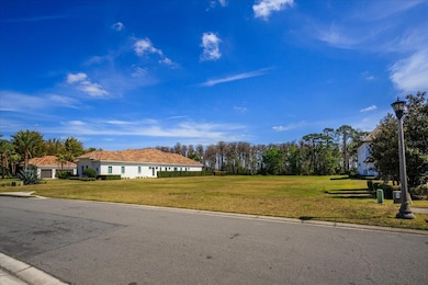 6161 Grosvenor Shore Dr, Windermere, FL 34786 - photo 4