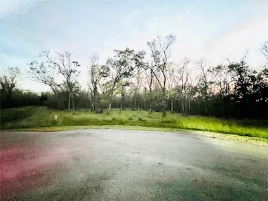 33726 Blue Marlin Dr, Richwood, TX 77515 - photo 2