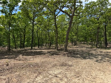 TBD Missouri 7, Roach, MO 65787 - photo 6