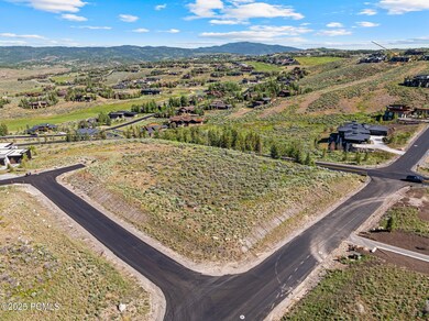 4-web-or-mls-DJI_20250617083754_0126_D