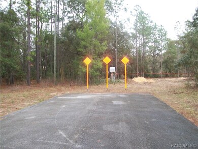 1870 E Bismark St, Hernando, FL 34442 - photo 4