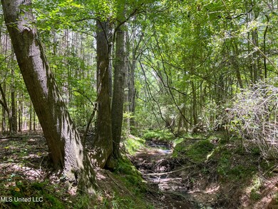 0 Chasewood Dr unit 4115884, Jackson, MS 39212 - photo 5