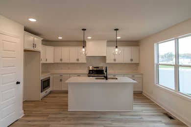 1733 Heritage Dr, Clarksville, TN 37043 - photo 4