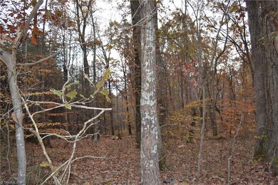 15 Acres N Carolina Highway 704 E, Sandy Ridge, NC 27046 - photo 2