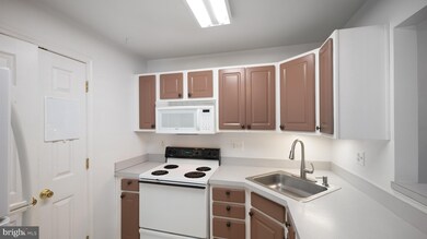 2023 Rudy Serra Dr unit 3B, Sykesville, MD 21784 - photo 5