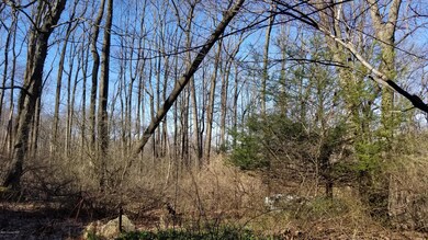 1571 Totts Gap Rd, Stroudsburg, PA 18360 - photo 4