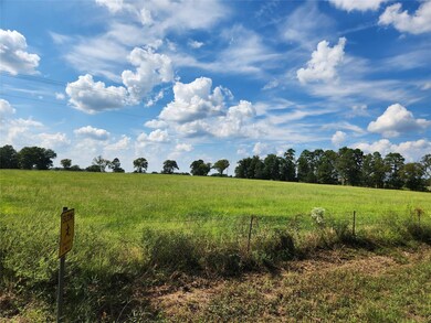 View of local wilderness featuring a rural view