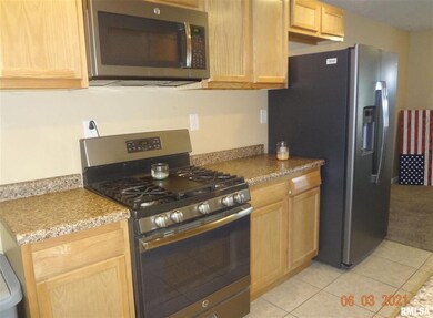 713 N Sherman St, Lincoln, IL 62656 - photo 7