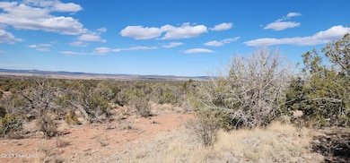 Lot 50 Scorpion, Ash Fork, AZ 86320 - photo 4