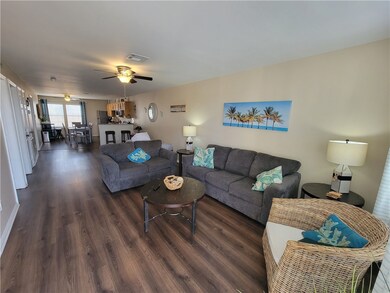 Large living room with sleeper sofa
