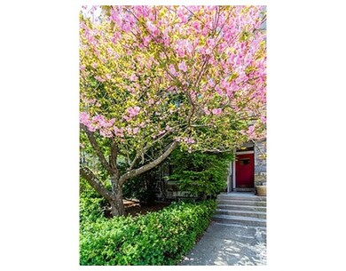 340 Tappan St unit 4, Brookline, MA 02445 - photo 2