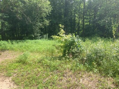 219 State Road S-42-1795, Inman, SC 29349 - photo 3