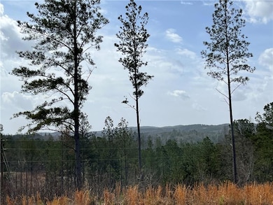 LT 123 Blalock Mountain Rd, Talking Rock, GA 30175 - photo 4