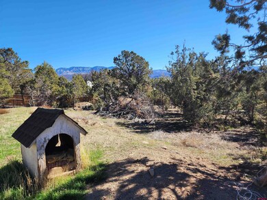 242 Fir Ave, Crawford, CO 81415 - photo 6