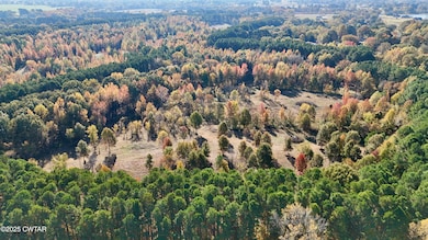 00 Hamer Rd, Dyersburg, TN 38024 - photo 3