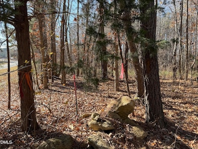 525 Montgomery Rd, Franklinton, NC 27525 - photo 5