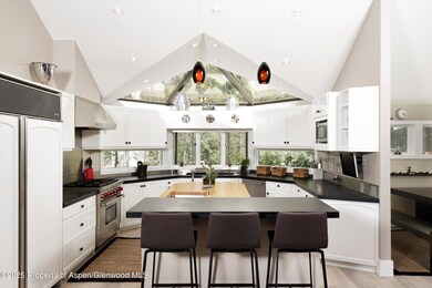 1145 Black Birch Dr, Aspen, CO 81611 - photo 6