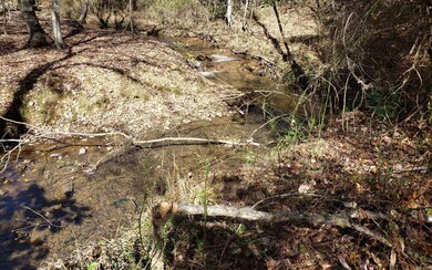 0 Toccoa River Forest unit 297130, Mineral Bluff, GA 30559 - photo 3