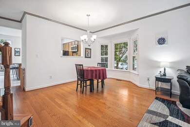 3633 Ransom Place, Alexandria, VA 22306 - photo 6