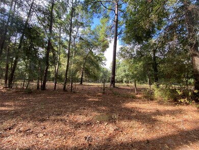 21131 Roberts Cemetery Rd, Hockley, TX 77447 - photo 2