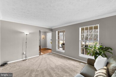 7805 Flagstone Ct, Ellicott City, MD 21043 - photo 7