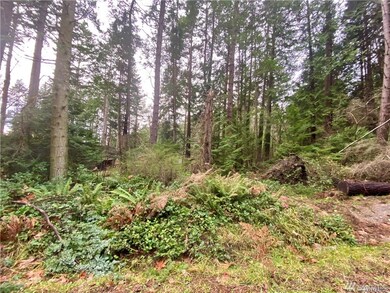 0 Claire Ln unit 1743022, Point Roberts, WA 98281 - photo 3