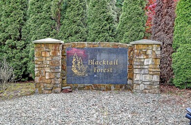 18604 64th Ave NW, Stanwood, WA 98292 - photo 3