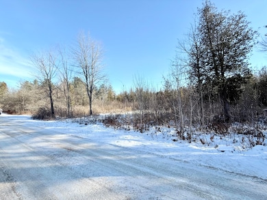 0 Hank Wilson Rd, Cadyville, NY 12918 - photo 5