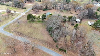 5629 Trinity Dr, Hernando, MS 38632 - photo 4