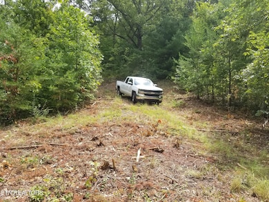 0 Fern Point Dr, Sevierville, TN 37862 - photo 7