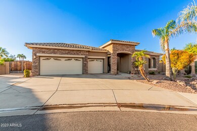 03 Canyon 460